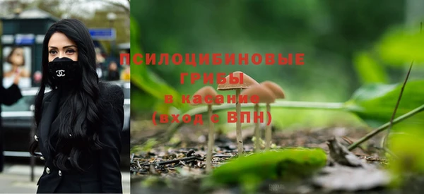 ешки Абинск