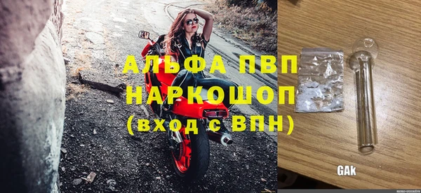 гашик Алексин