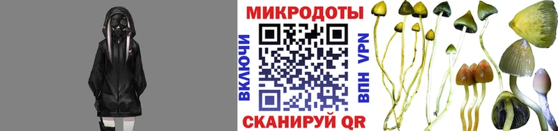 Псилоцибиновые грибы GOLDEN TEACHER где можно купить наркотик Куртамыш